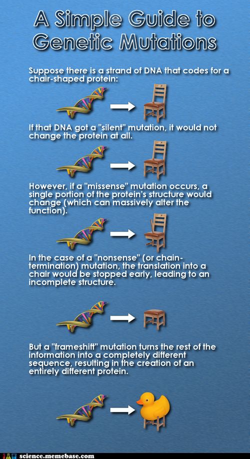 How to Explain DNA to Kids Owlcation