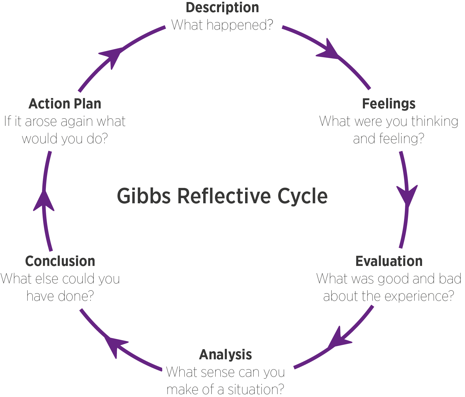 Critical Rationalism in Theory and Practice